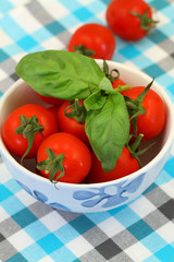 Cherry tomatoes with fresh basil on checkered surface
