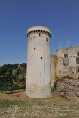 Fototapeta na wymiar Tour Talbot, Château de Falaise