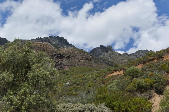 Chapman's Peak Drive. View to mountain rocks.