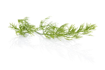Dill. Culinary herbs.