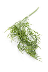 Dill isolated on white.