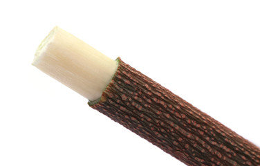 Medicinal neem twig use as herbal toothbrush