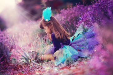 on the fragrant lavender walks beautiful girl in a smart dress