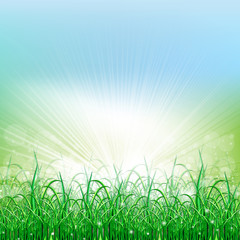 Fototapeta premium Beatiful green field with blur heaven and sunrise