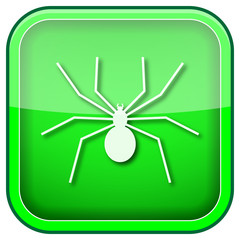 Green square shiny icon