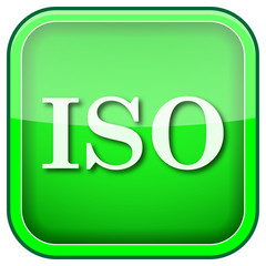 Green square shiny icon