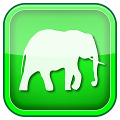 Green square shiny icon