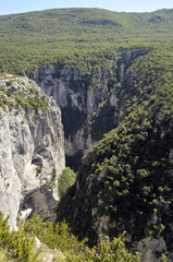 Verdon