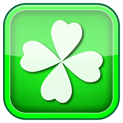 Green square shiny icon