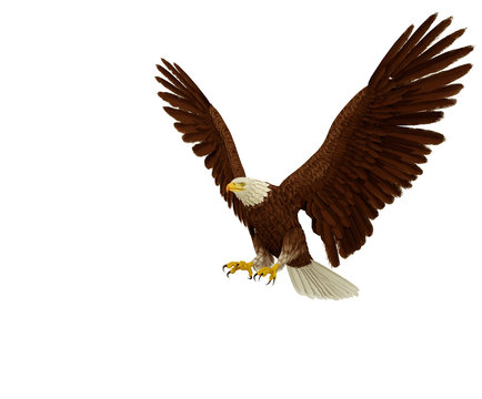 eagle extreme landing