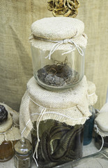 Witchcraft and Snake