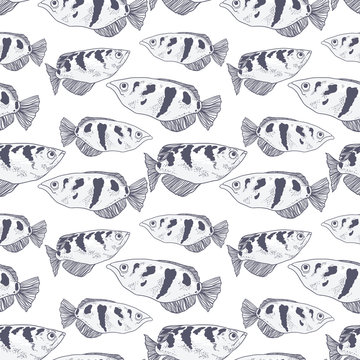 Seamless background with fish