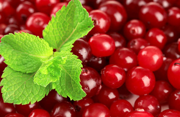 Ripe red cranberries, close up.