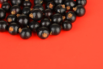 Blackcurrants on red background