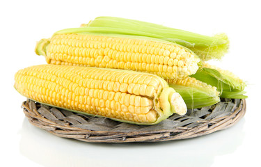 Fresh corn vegetable isolated on white