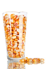 Groats in test tube isolated on white