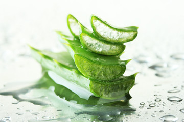Close up of aloe leaves with drops - obrazy, fototapety, plakaty