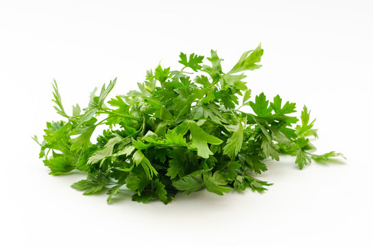Parsley  isolated on a white background