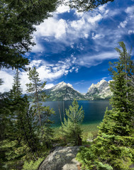 Summer Day on Jenny Lake