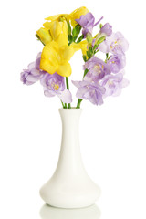 Beautiful bouquet of freesias in vase, isolated on white