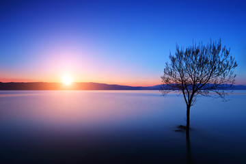 Fototapeta na wymiar Sylwetka drzewa w jeziorem Ohrid w Macedonii na zachodzie słońca