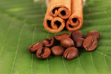 Coffee grains and cinnamon on green leaf close-up