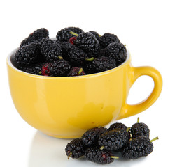 Ripe mulberries in cup isolated on white