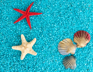 Fototapeta na wymiar Decorative colored sand with shells isolated on white