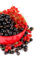 Red and black currant in bowl isolated on white