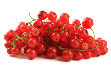 Red currant isolated on white