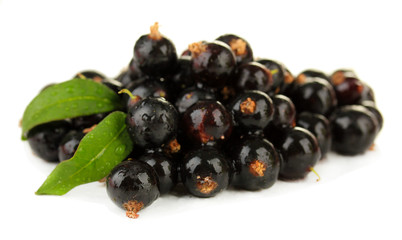 Black currant isolated on white
