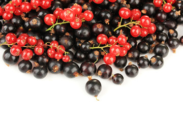 Red and black currant isolated on white