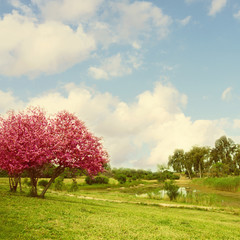 Landscape with blossom tree and lake over blue sky