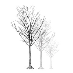 Tree - Hand Drawn vector