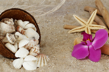 Maritime Dekoration © Racamani