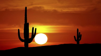 Arizona Saguaro sunrise - Powered by Adobe