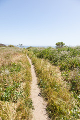 Seacliff