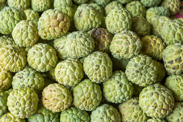 Fototapeta premium Sugar apple