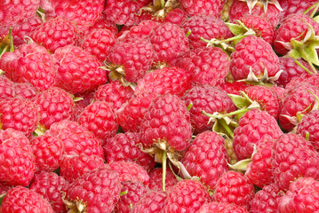 Background of the ripe,fresh,juicy berries of raspberry.