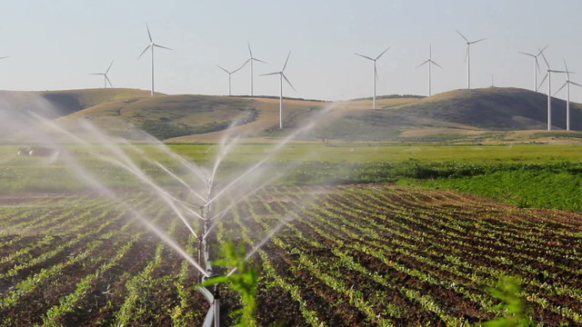 Sprinkler irrigation with turbines in the background ...