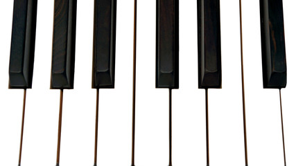 Naklejka premium Piano keys viewed from above