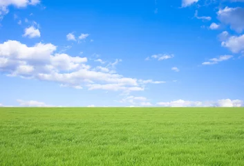 Tuinposter 草原と青空 © miiko