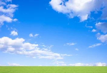 Rolgordijnen Weide en blauwe lucht © miiko