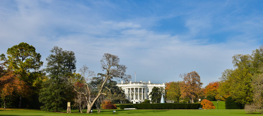 Fototapeta premium The White House - Washington DC, United States 