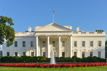 Fototapeta na wymiar The White House - Washington DC, United States 