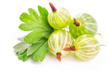 Gooseberries with leaves on white background