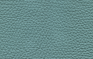 Leather texture