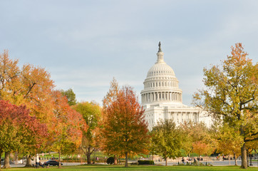 United States Capitol in autumn - Washington DC United States