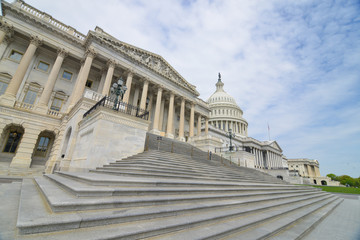 Fototapeta premium United States Capitol Building - Washington DC United States