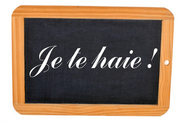 Fototapeta premium Je te haie